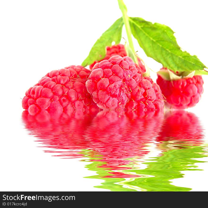 Close-up of raspberry