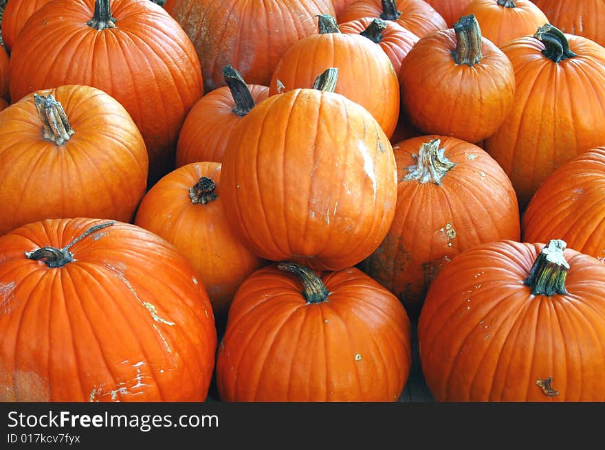 Pumpkins ready for holiday sales. Pumpkins ready for holiday sales.