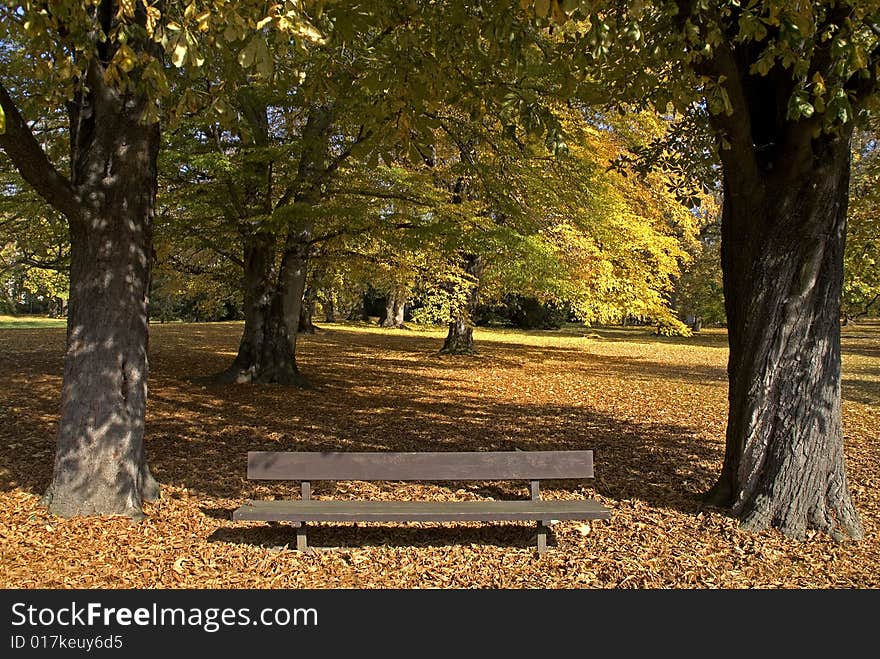 Park bench in the autumn