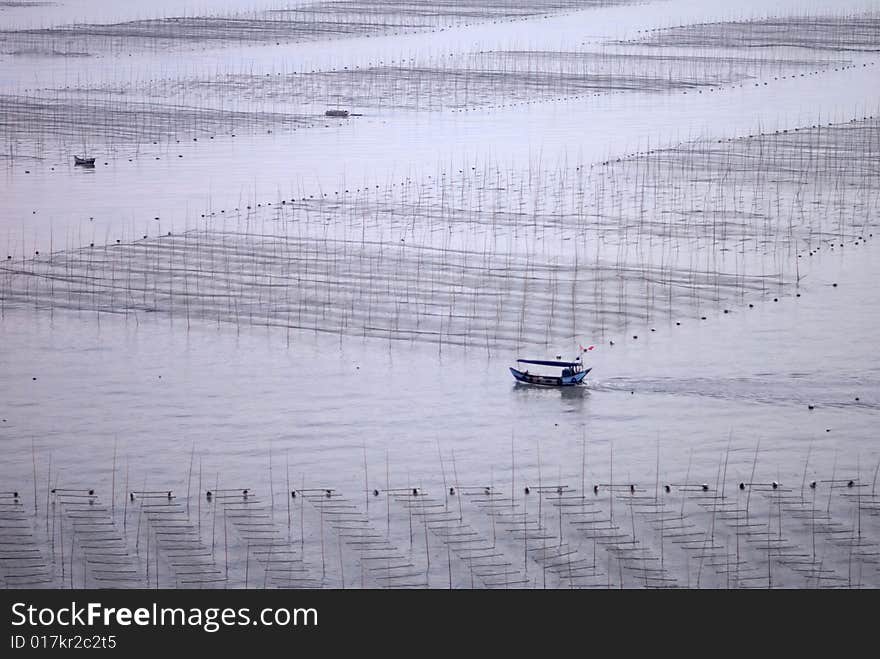 Fishing Ground