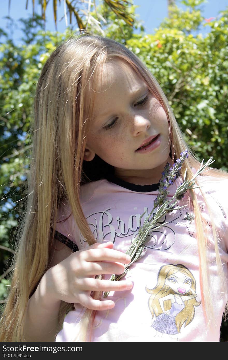 A beautiful white caucasian child holding lavender flowers. A beautiful white caucasian child holding lavender flowers