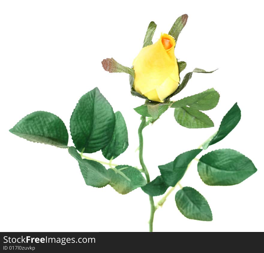 Single artificial yellow rose on white