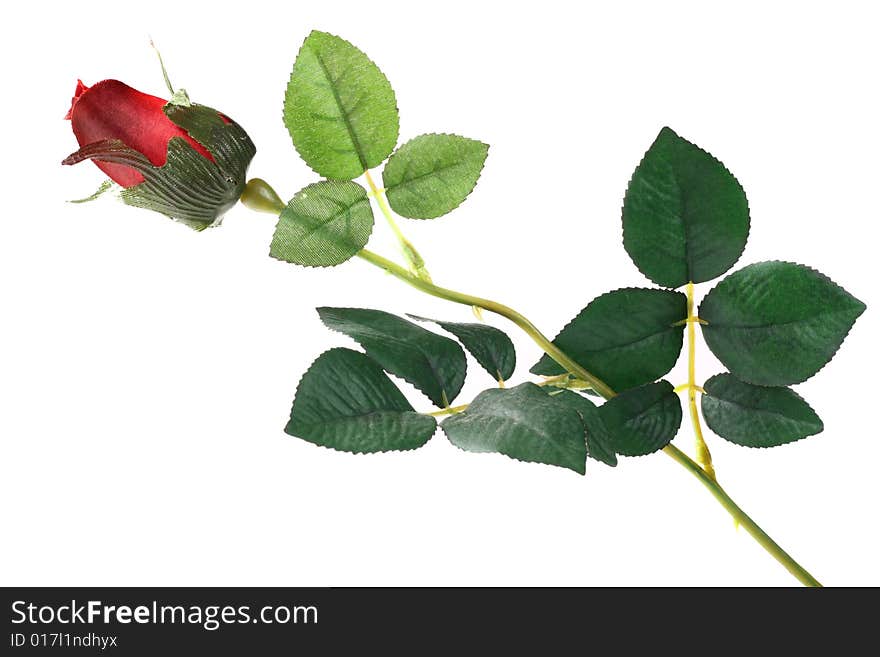 Single artificial rose on white background