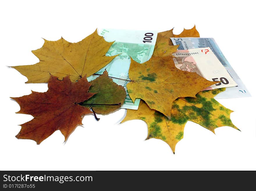 Euro together with yellow leaves on a white background. Euro together with yellow leaves on a white background