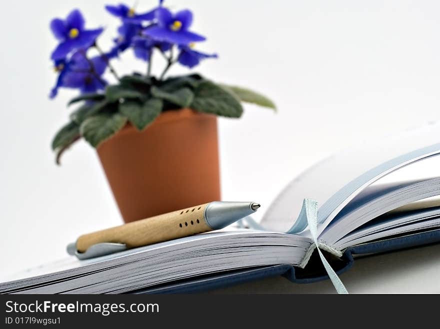 Diary and pencil with flower in the background. Diary and pencil with flower in the background