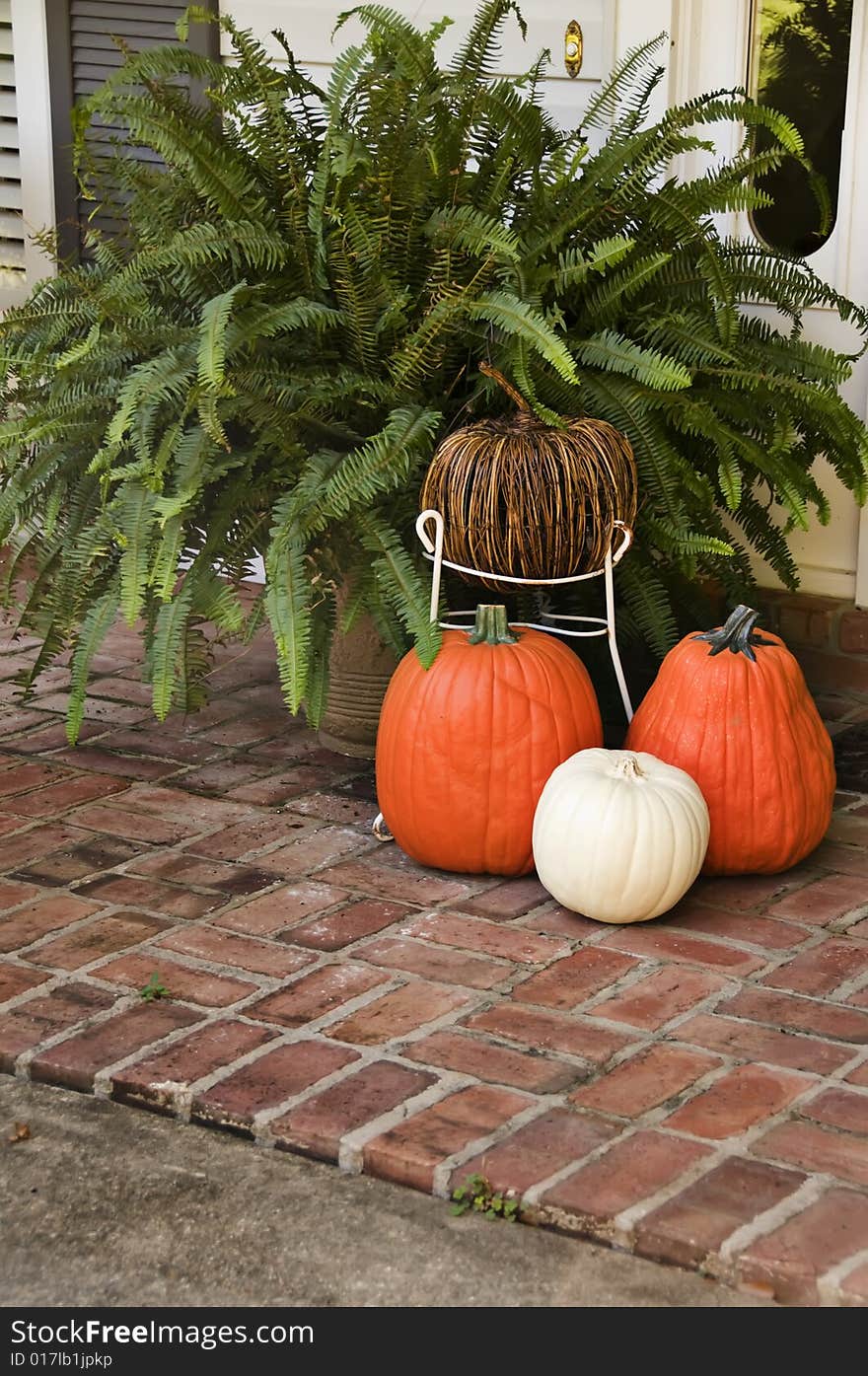 4 pumpkins and a fern