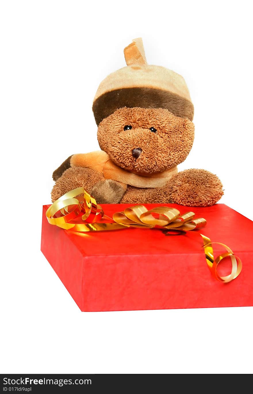 Teddy Bear With Gift Box