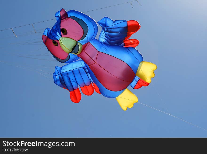 Color owl kite lifted into the sky. Color owl kite lifted into the sky