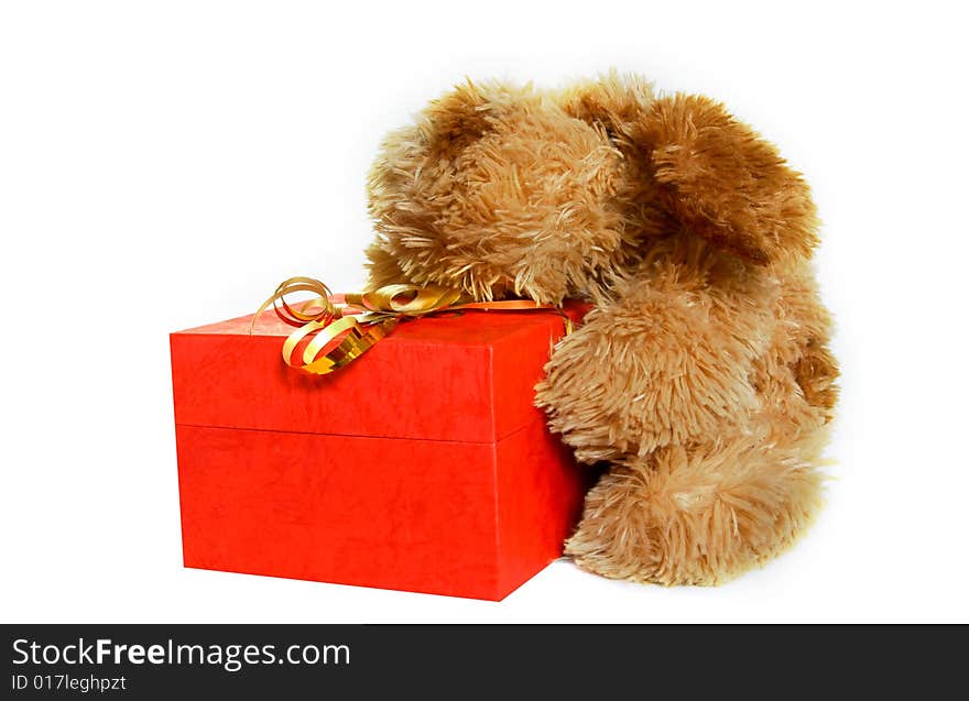 Toy dog with gift box