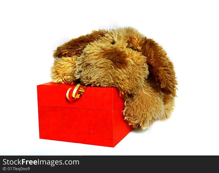 Toy-dog with gift box over white