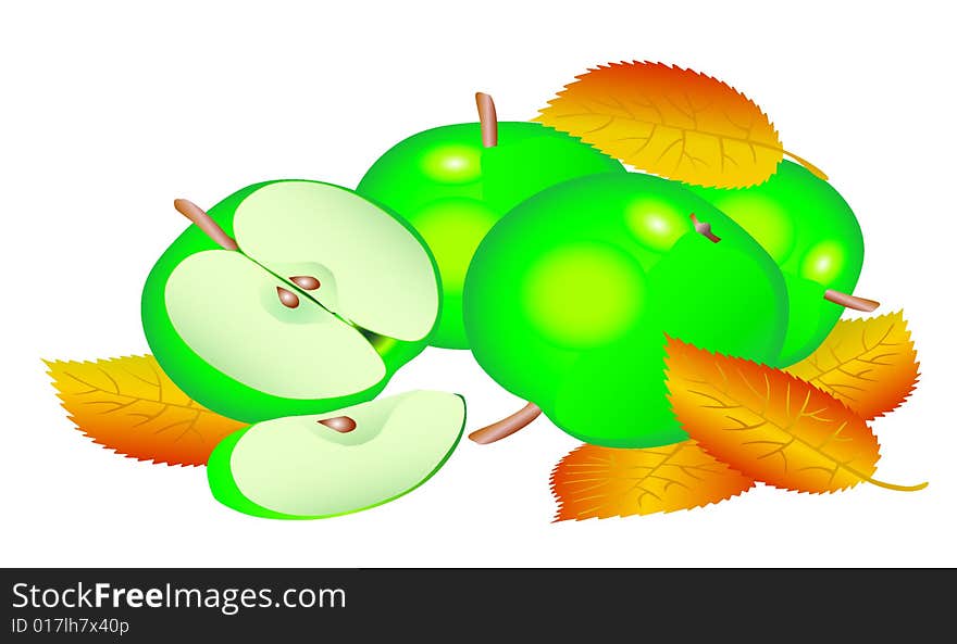 Green apples with leaves,illustration