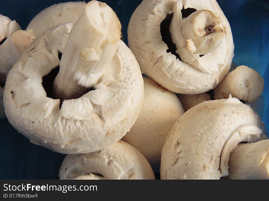 Fresh mushrooms in a blue carton