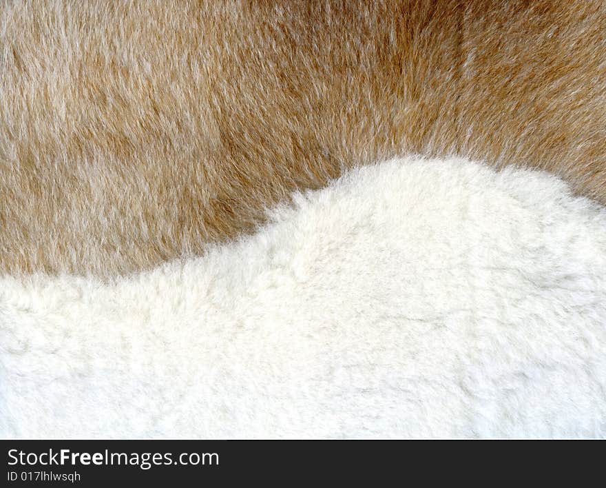 Brown and white fur texture