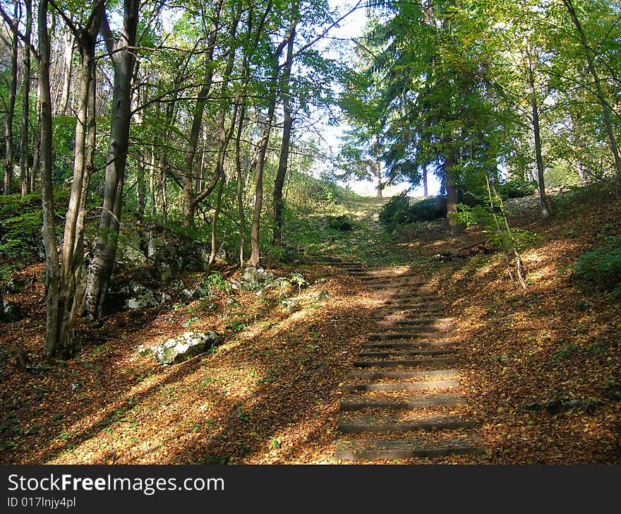 Rocky sters in forest on autumn. Rocky sters in forest on autumn