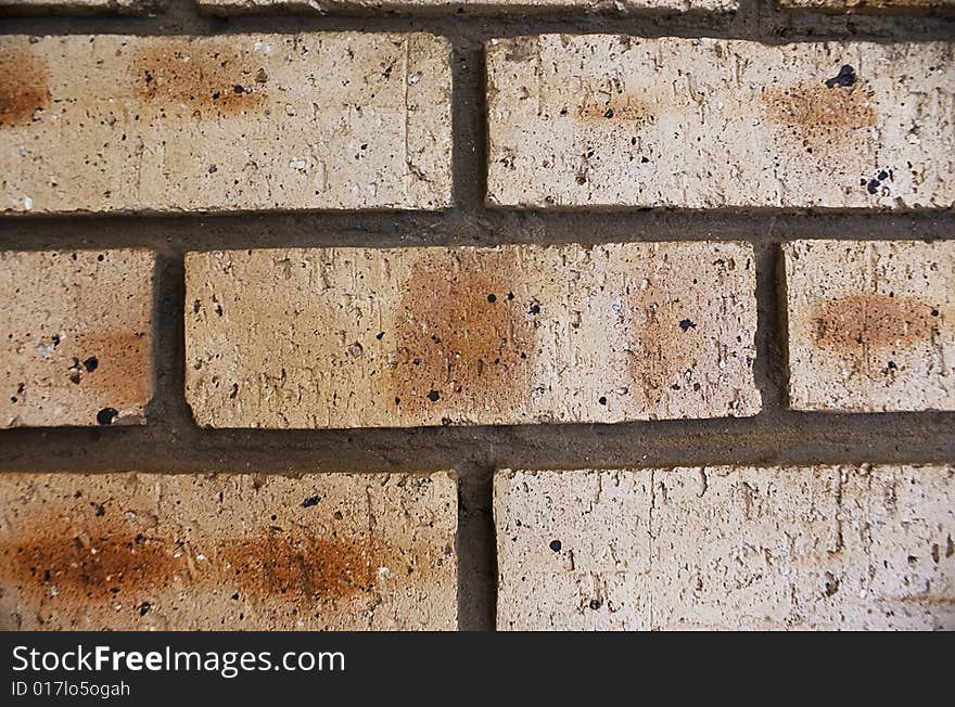 Facebrick, is an interesting uniquely coloured brick. Each individual brick can vary in colour quite drastically from the next. Makes an interesting backdrop.

There is a series of seven shots. This being part 07 of 07. They are shot as consecutive items â€” each shot being a few steps closer to the subject. Lens aperture remained static at the widest setting â€” 18mm. Facebrick, is an interesting uniquely coloured brick. Each individual brick can vary in colour quite drastically from the next. Makes an interesting backdrop.

There is a series of seven shots. This being part 07 of 07. They are shot as consecutive items â€” each shot being a few steps closer to the subject. Lens aperture remained static at the widest setting â€” 18mm.