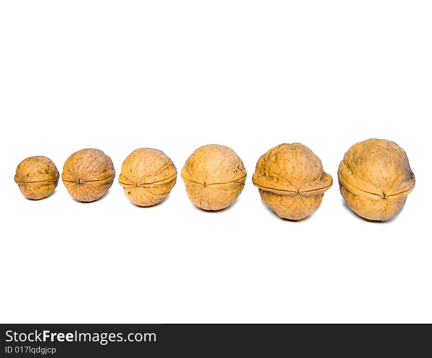 Opened nut on white background, shallow DOF