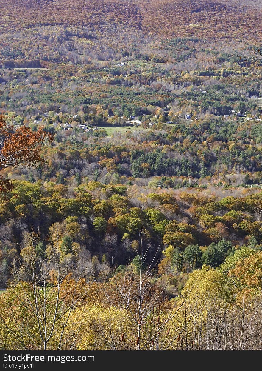 Colorful foliage among the valley. Colorful foliage among the valley