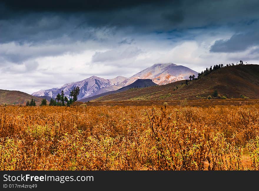 This is a picture of a beautiful red valley