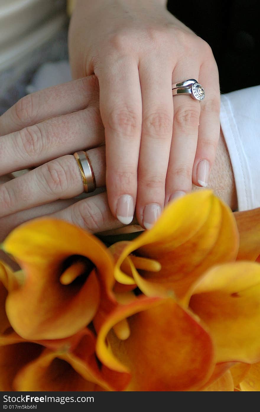 Bride and  Groom wearing wedding rings