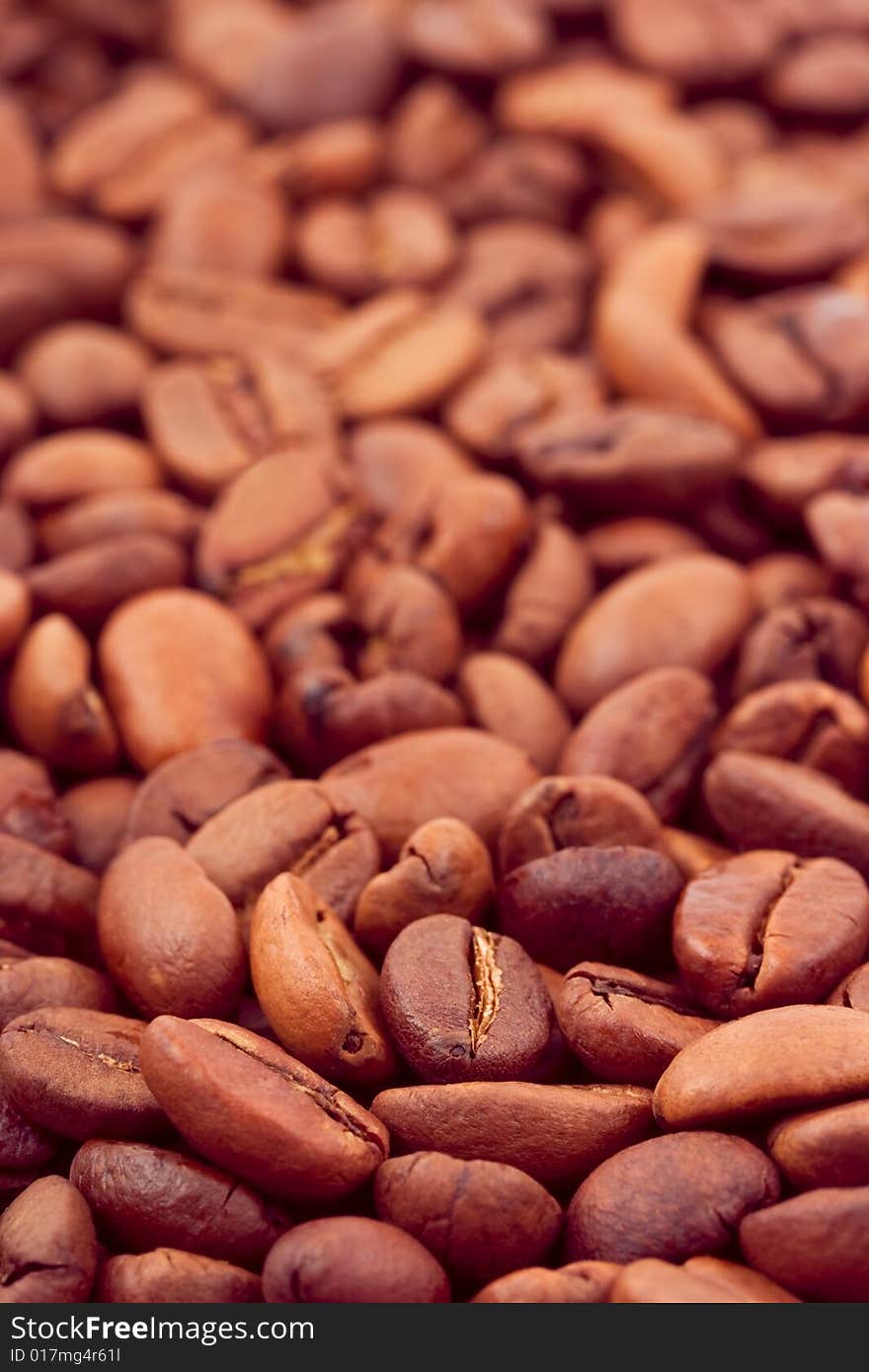 Vertical coffee background, macro of seeds