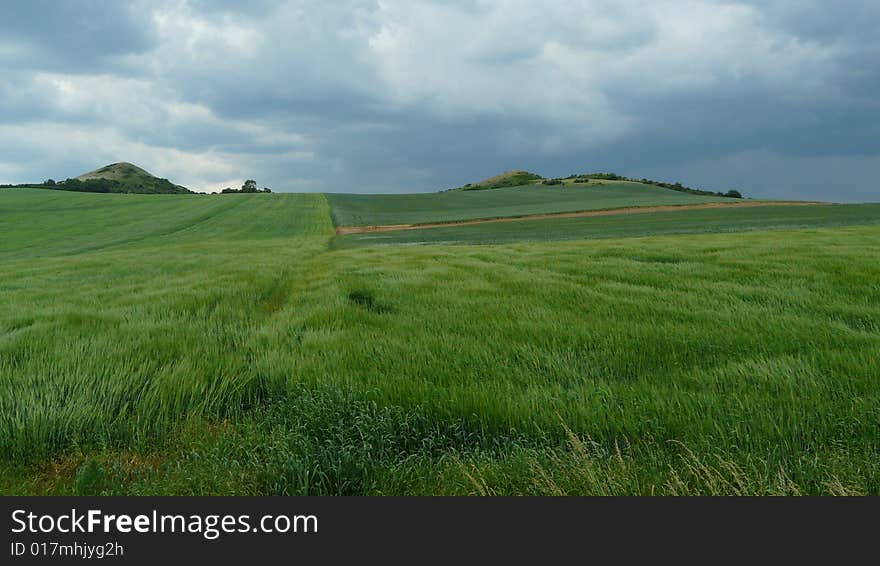 Agricultural landscape