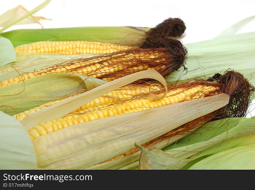 Fresh yellow corn on the cob. Fresh yellow corn on the cob