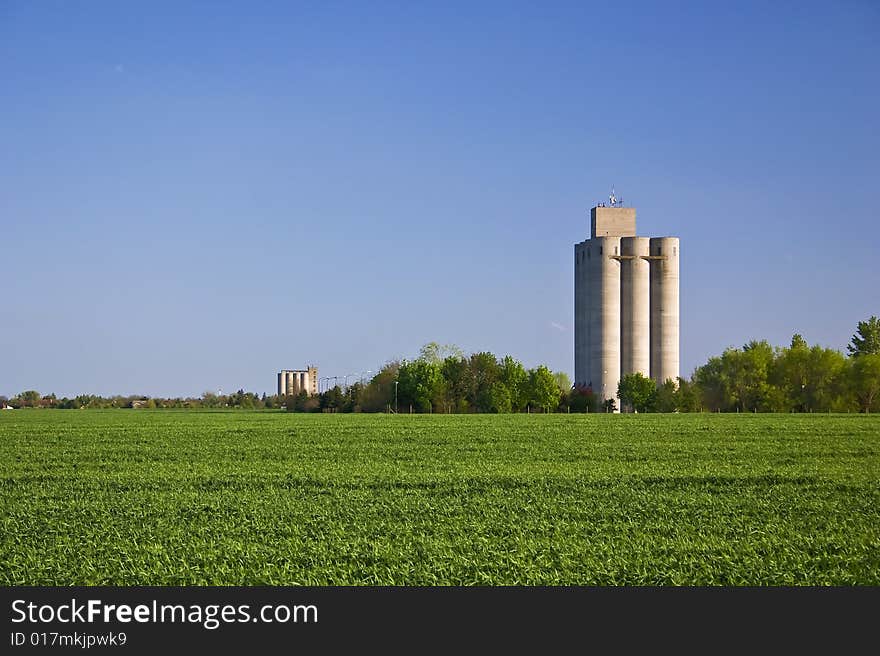 Two grain silos in the cereal fields and trees. Two grain silos in the cereal fields and trees.