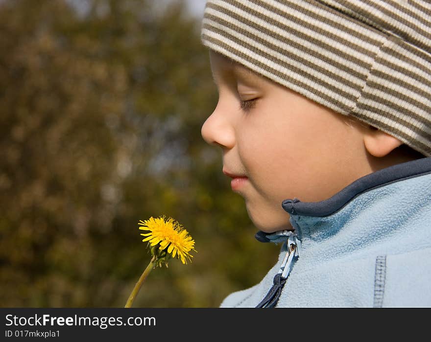 3 years old boy smelling dandelion in autumnal scenery