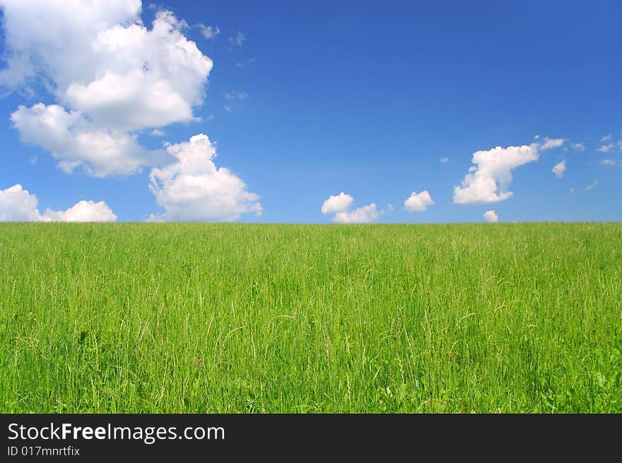 Beautiful green grass and blue sky. Beautiful green grass and blue sky