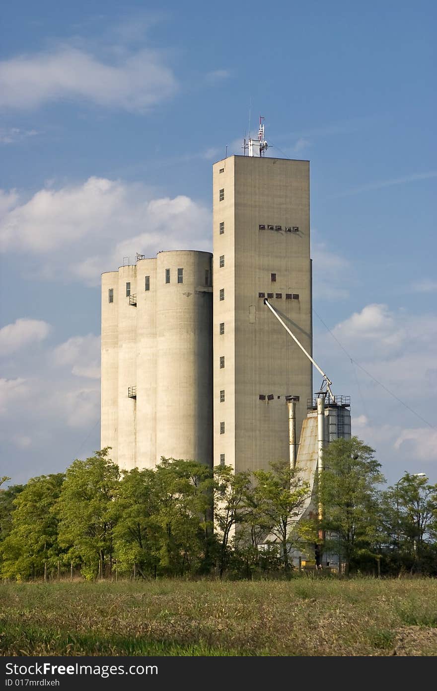 Grain silo in the cereal fields and trees.