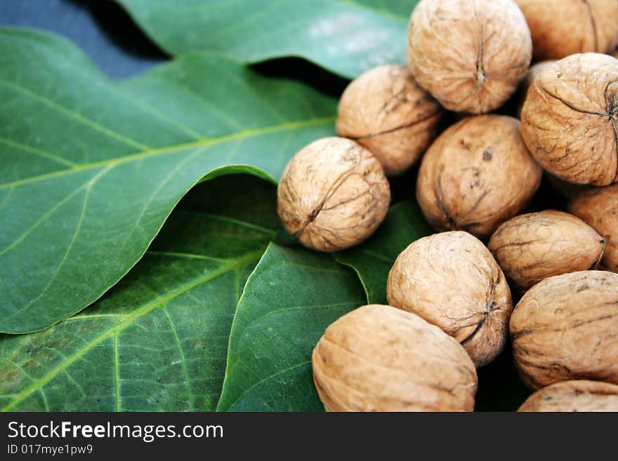 Green sheet of the plant and heap ripe nut