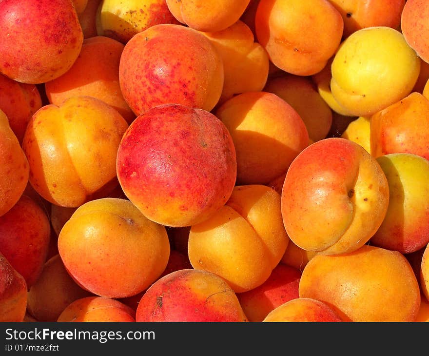 Fresh Apricot