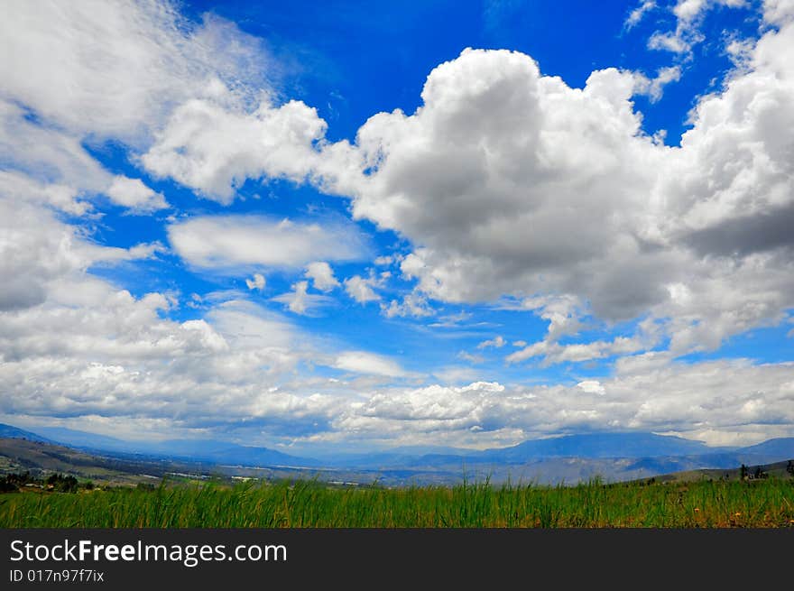 Beautiful meadow and sky