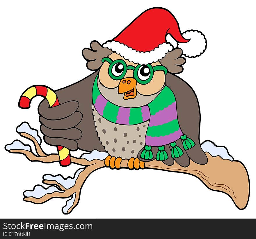 Owl in Christmas outfit - vector illustration.