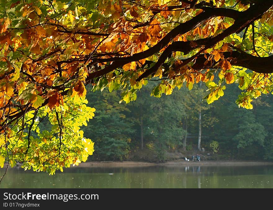 Nature is slowly beginning to prepare for winter sleep. Autumn starts with riot color. Nature is slowly beginning to prepare for winter sleep. Autumn starts with riot color.