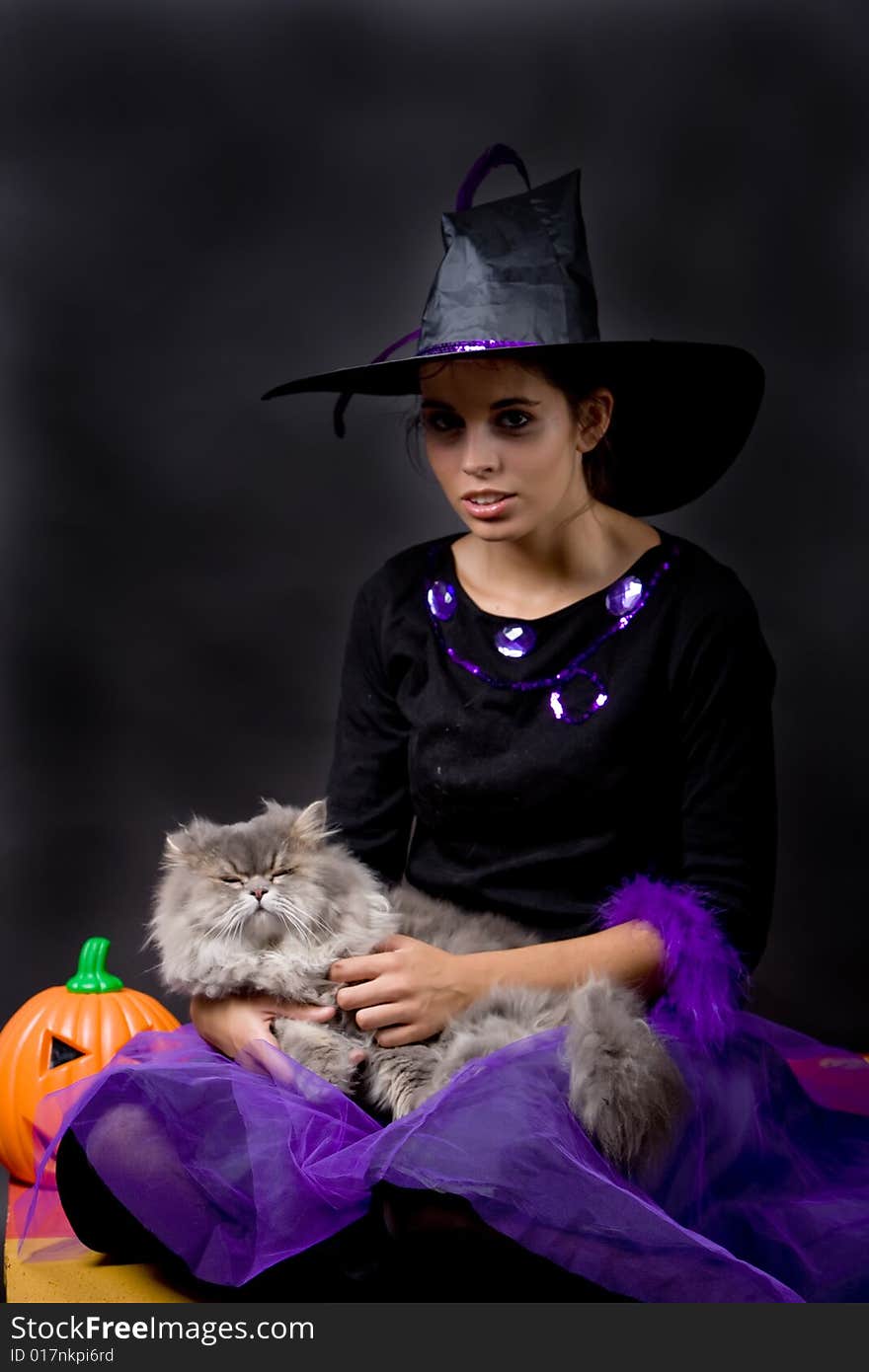 Young halloween witch with grey cat