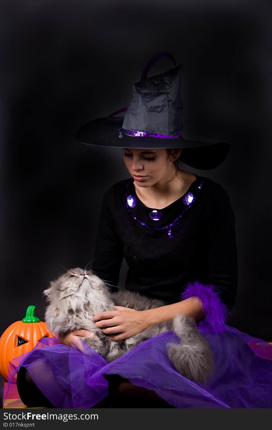 Young halloween witch with grey cat