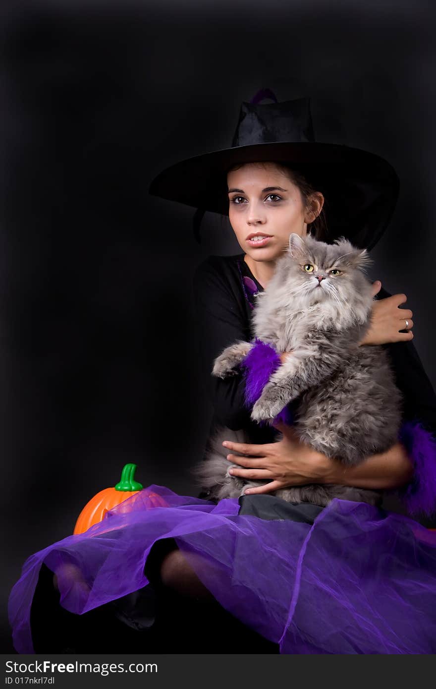 Young halloween witch with grey cat