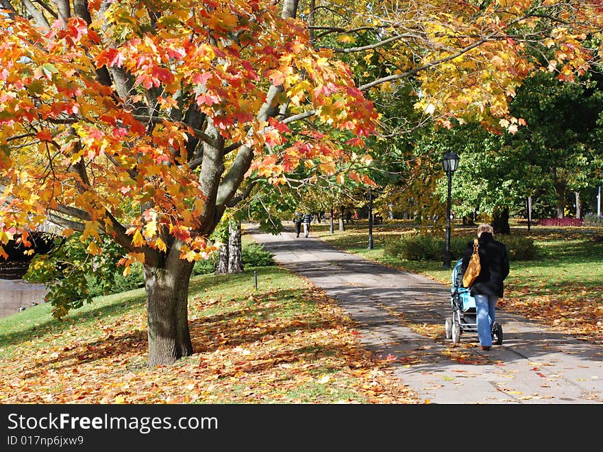 Beautiful autumn avenue in park