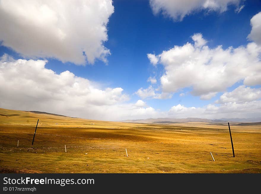 JinYinTan Grassland