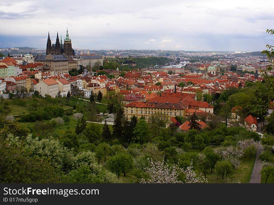 View Of Prague