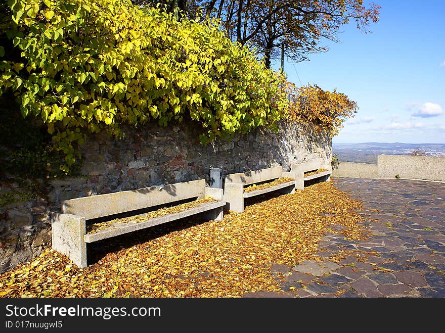 Benches In Autumn