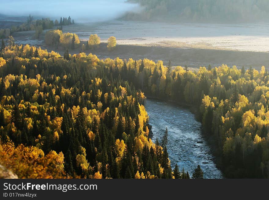 A river is surrounded by the birch forest on the mountain. Taken from Hemu, a small and beautiful village in Xinjiang, China. A river is surrounded by the birch forest on the mountain. Taken from Hemu, a small and beautiful village in Xinjiang, China.