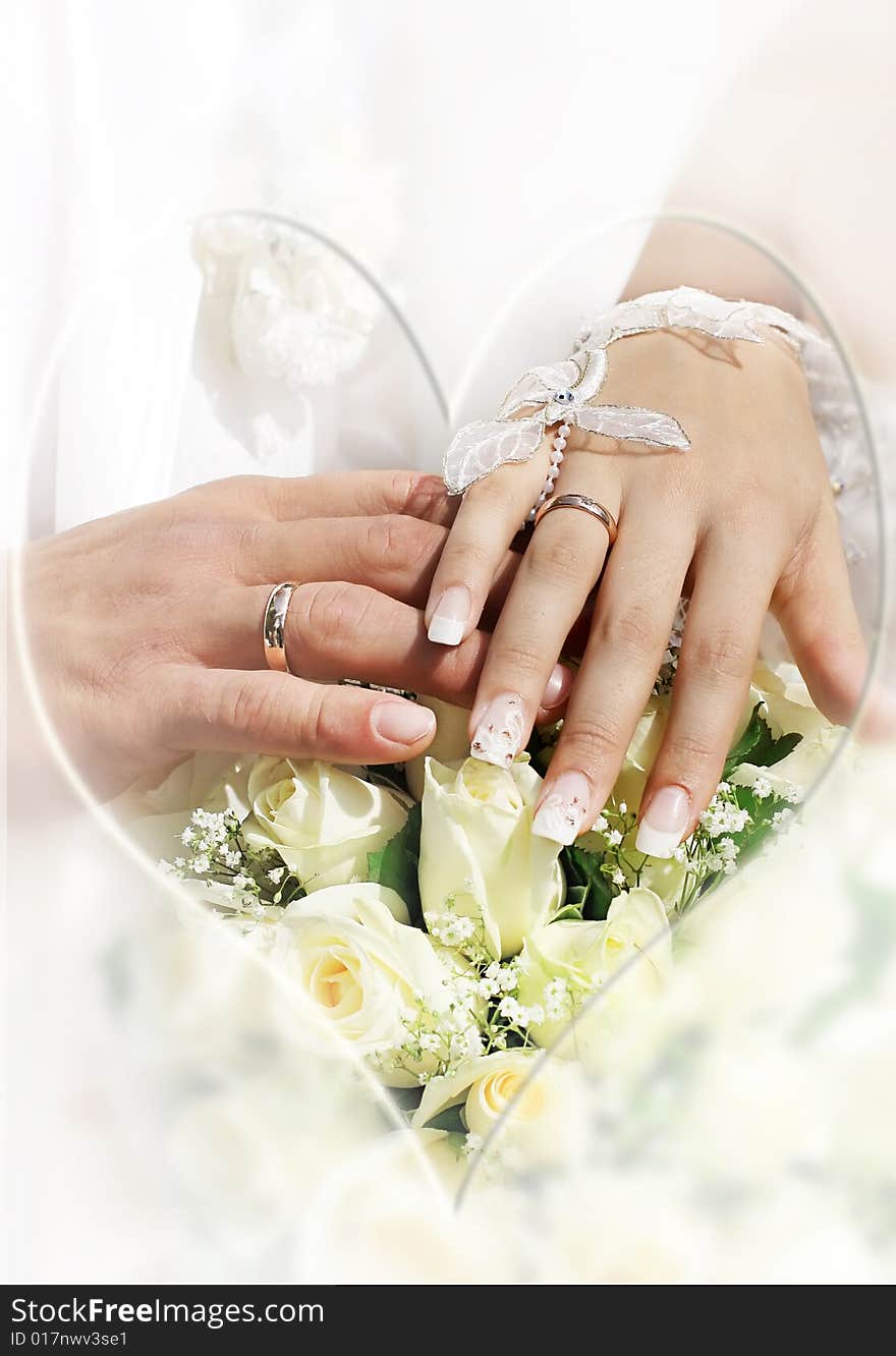 Hands of bride and groom with rings