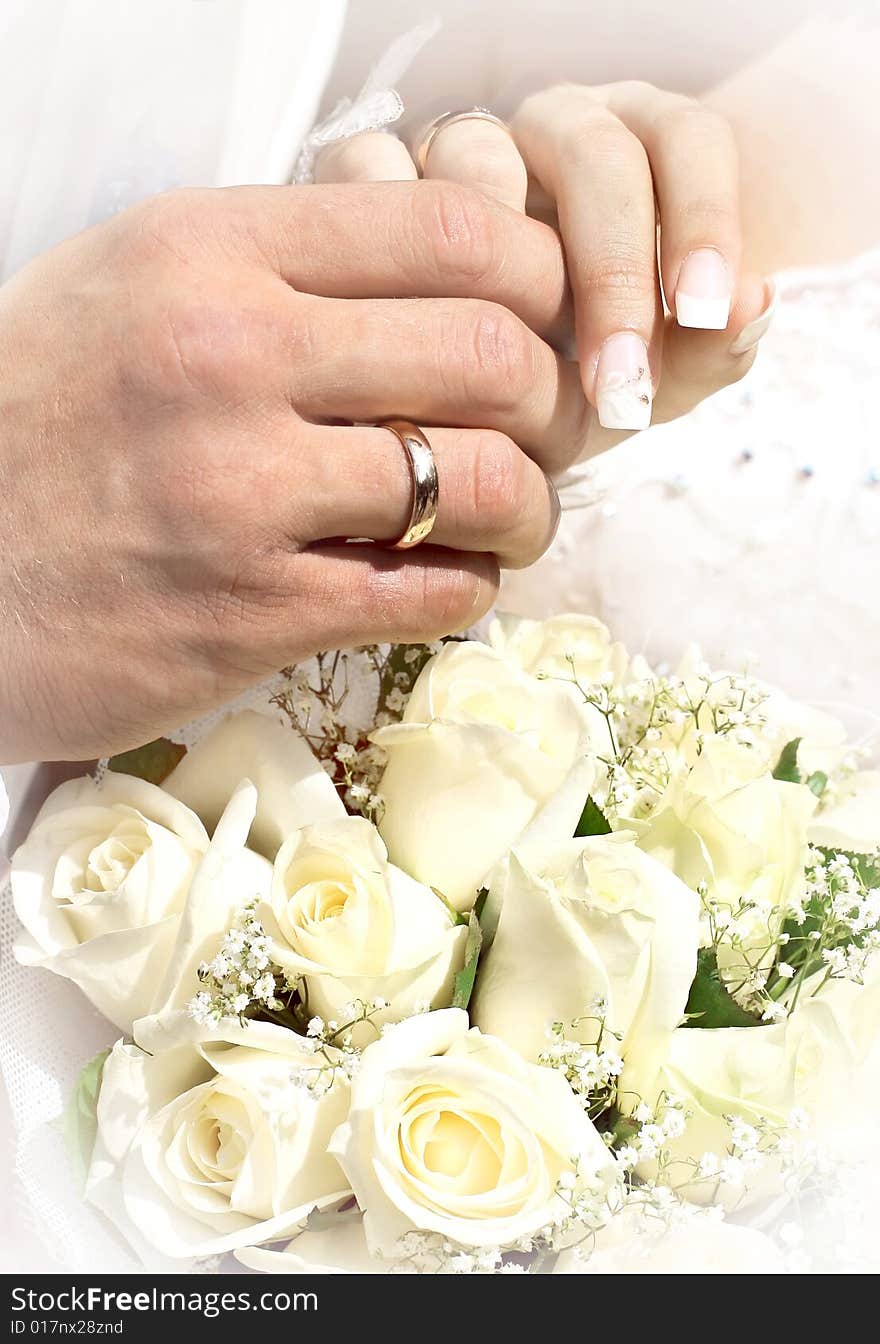 Hands of bride and groom with rings