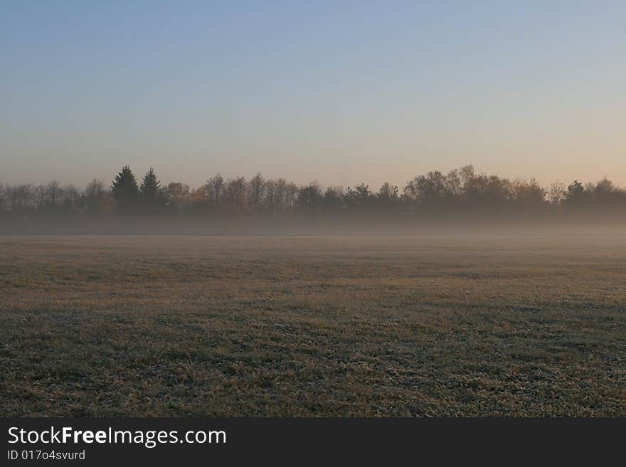 The fog in the landscape