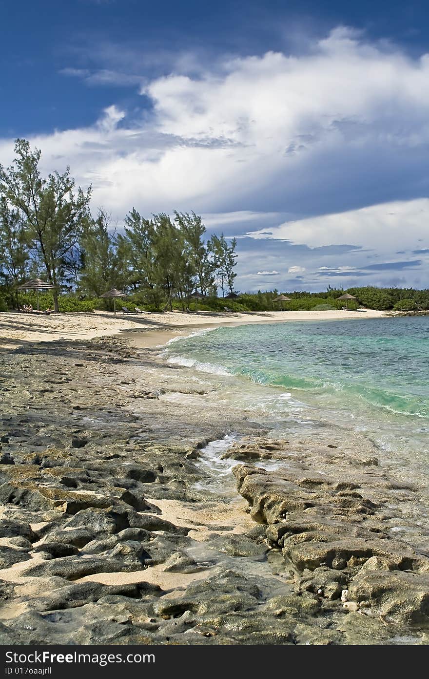 Tropical shoreline