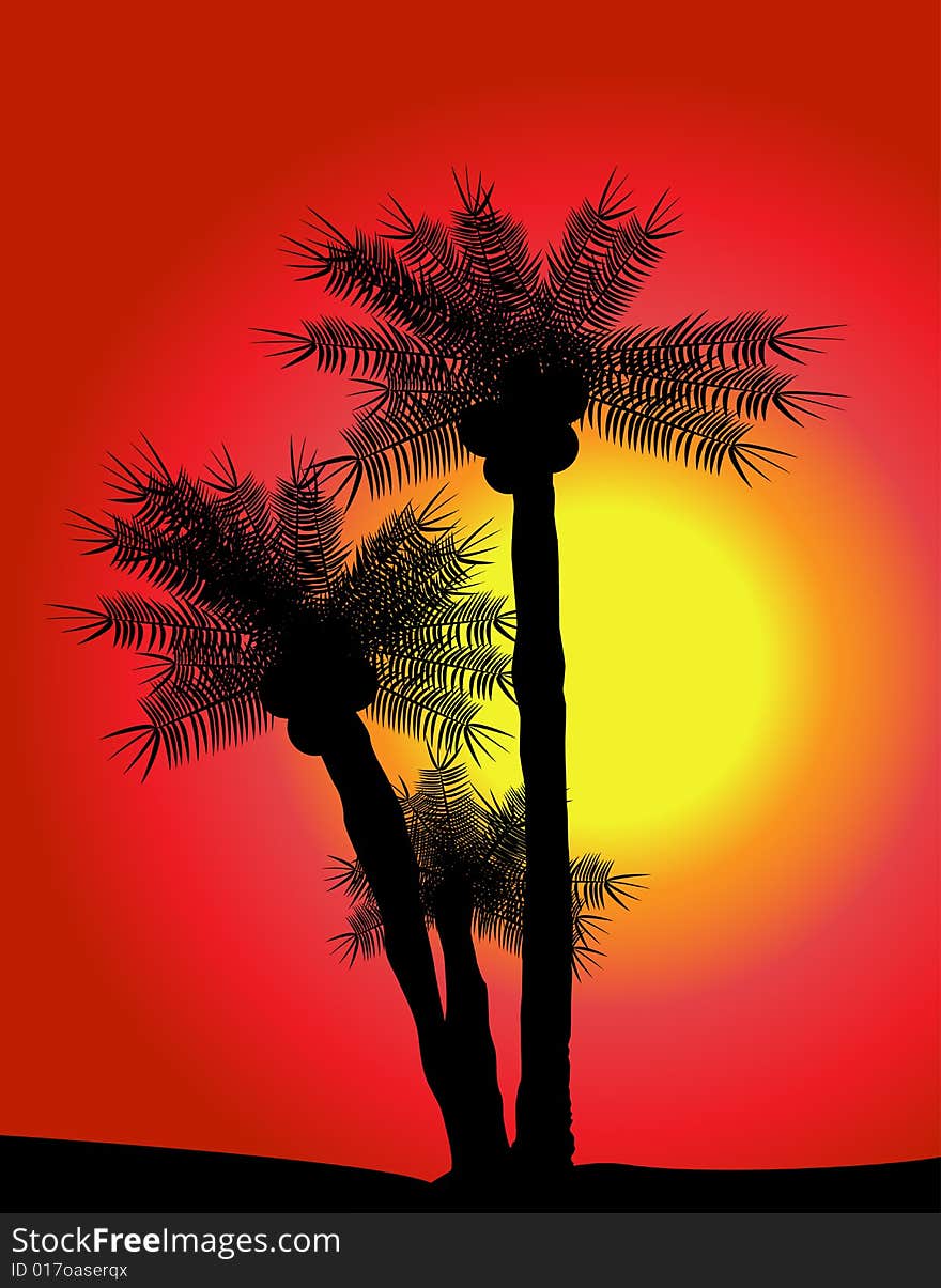 Palms Over Sunset