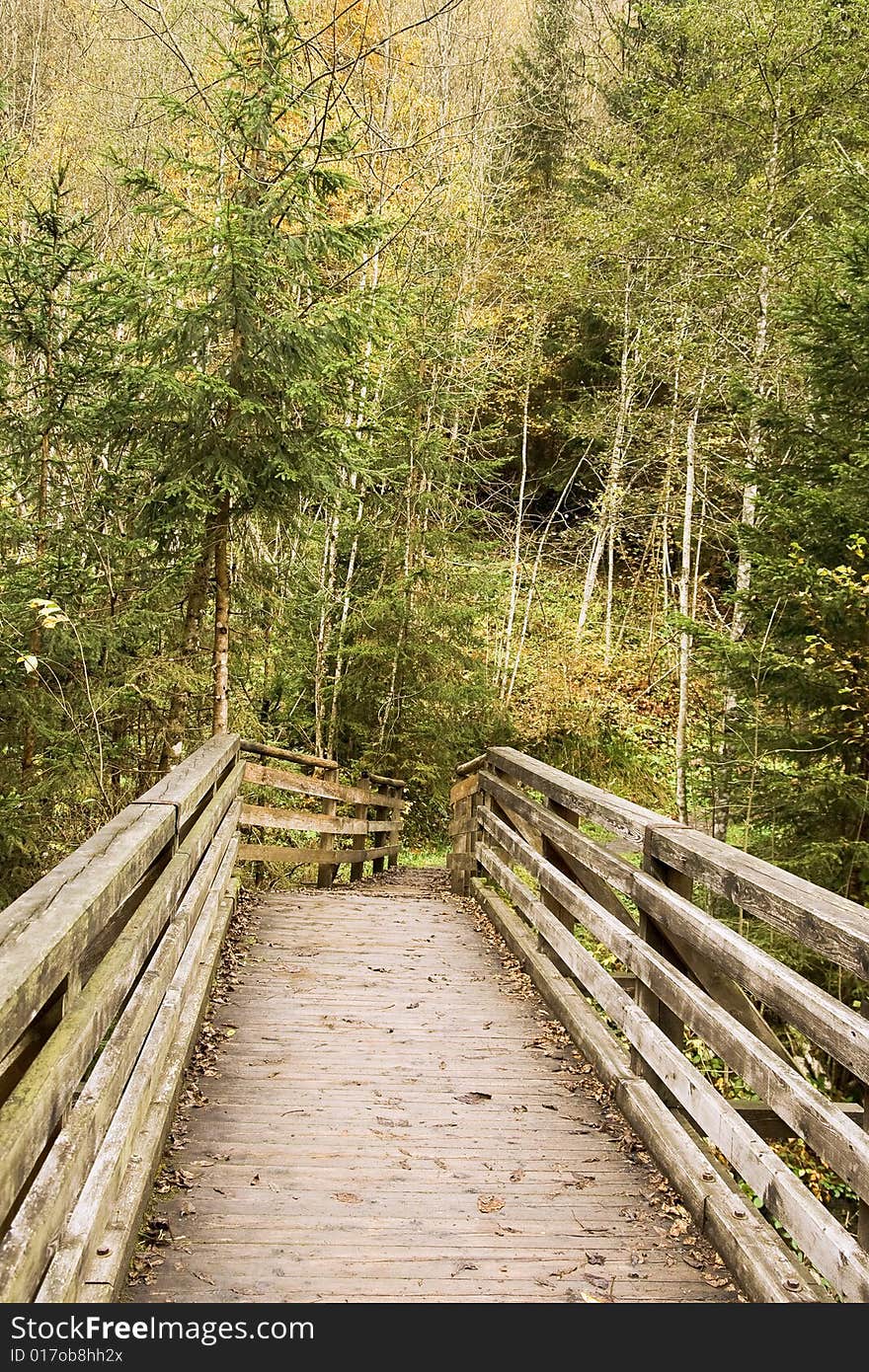 Wooden bridges through the mountain river in the Alpes. Wooden bridges through the mountain river in the Alpes