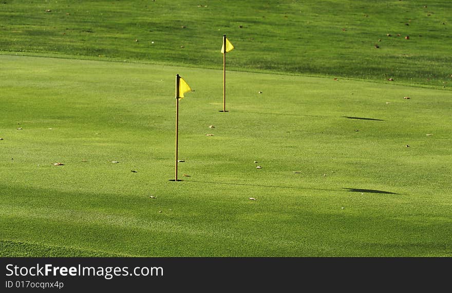 Green grass of the golf course